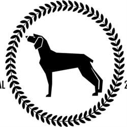 A Dog's Life Toelettatura, Casale sul Sile orari di apertura
