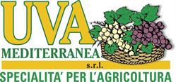 Uva Mediterranea, Mazzarrone orari di apertura