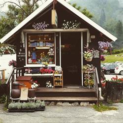 Bottega Della Lavanda E Del Miele, Pornassio orari di apertura