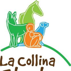 La Collina Storta, Roma orari di apertura