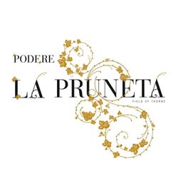 Podere La Pruneta, Cavriglia orari di apertura