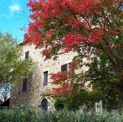Casal Pontecuti, Todi orari di apertura