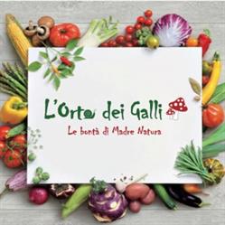 L'Orto dei Galli, Sestola orari di apertura