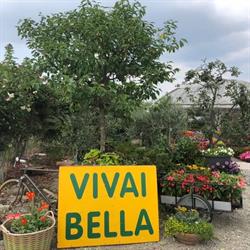 Vivai Bella, Rivoli orari di apertura