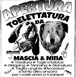 Toelettatura Da Mascia & Nina, L'Aquila orari di apertura