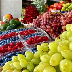 Frutta e Verdura Quinta Stagione, Trieste orari di apertura
