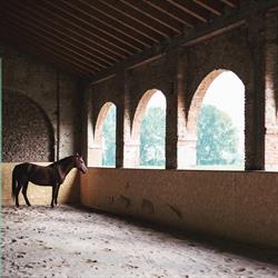 Equine Wholistic-Centro Lavanda, Villa Saviola orari di apertura