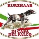 Allevamento Kurzhaar 'di Casa del Falco'di Antonino Ciaramitaro, Vicenza orari di apertura