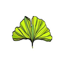 Spazio Ginkgo Aps, Milano orari di apertura