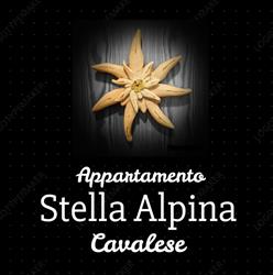 Appartamento vacanze Stella Alpina a Cavalese, orari di apertura