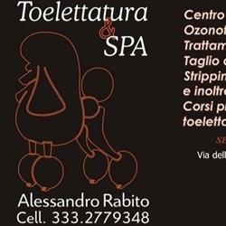 Toelettatura E Spa, Ragusa orari di apertura