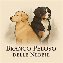 Allevamento Branco Peloso delle Nebbie (Bovaro del Bernese & Golden Retriever), Caldiero orari di apertura