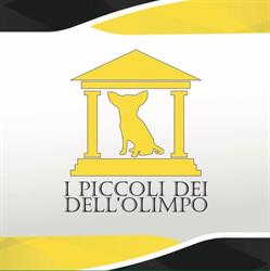 I Piccoli dei dell'Olimpo, Chiaramonte Gulfi orari di apertura
