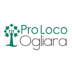 Pro Loco Ogliara, Salerno orari di apertura