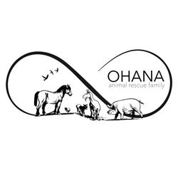 Ohana Animal Rescue Family ODV, Empoli orari di apertura
