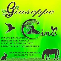 Giuseppe cino's shop, Racalmuto orari di apertura