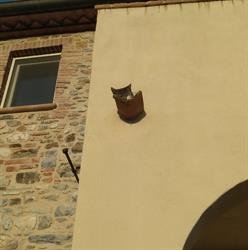 Az. agr. Poggio alla Casetta, Suvereto orari di apertura