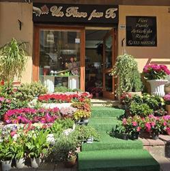Un fiore per te, Patti orari di apertura