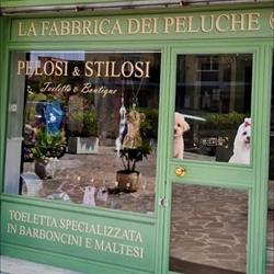 Pelosi & Stilosi Toeletta Specializzata in Barboncini e Maltesi, Roma orari di apertura