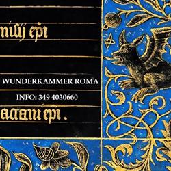 Artificialia, Wunderkammer Roma, orari di apertura
