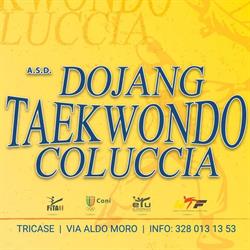 DOJANG TAEKWONDO COLUCCIA, Tricase orari di apertura