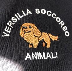 Versilia Soccorso Animali ODV, Viareggio orari di apertura