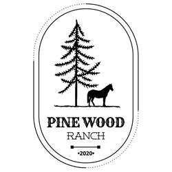 Pine Wood Ranch, Assisi orari di apertura