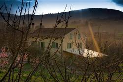 Azienda Agricola Biologica Pierfederici, Sant'Ippolito orari di apertura