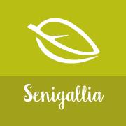 La Saponaria - Biostorie Senigallia (Senigallia, Marche), orari di apertura