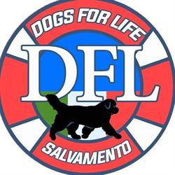 DFL - Dogs For Life, Ladispoli orari di apertura