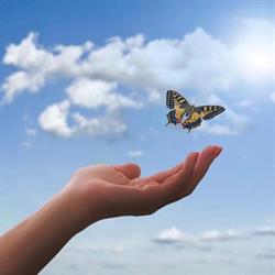 Centro Psicologia e Psicoterapia Limbiate, orari di apertura