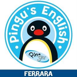 Pingu's English Ferrara, orari di apertura
