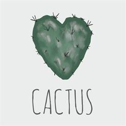 cactus.palazzolo, Palazzolo sull'Oglio orari di apertura