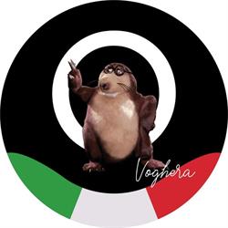 ItalianOptic Voghera, orari di apertura