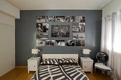 Bed and Breakfast The Photos Room, Roma orari di apertura