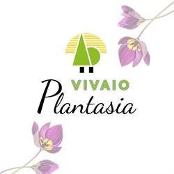 Vivaio Plantasia, Fondi orari di apertura