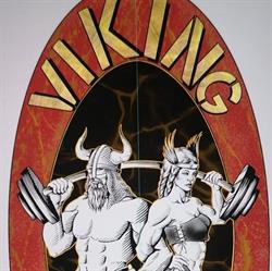 Viking GYM, Pescara orari di apertura