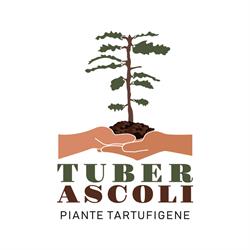Tuber Ascoli, Marsia orari di apertura