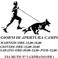 Team Botticelli, Ceprano orari di apertura