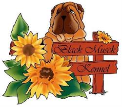 BLACK MUSCK KENNEL - Allevamento shar-pei di Ambrogio Vago, Magenta orari di apertura