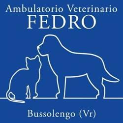 Ambulatorio veterinario Fedro, Bussolengo orari di apertura