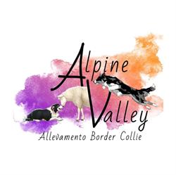 Alpinevalley Kennel, Schio orari di apertura