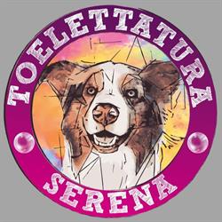 Toelettatura Serena, Sant'Ambrogio di Valpolicella orari di apertura