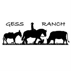 Gess Ranch, Sasso Marconi orari di apertura