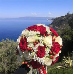 Puntoverdefederico Floral designer, Palmi orari di apertura