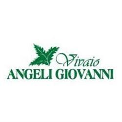 Vivaio Angeli, Ravenna orari di apertura