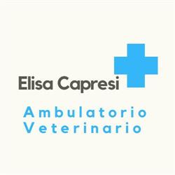 Ambulatorio Veterinario Dott.ssa Elisa Capresi, Follonica orari di apertura