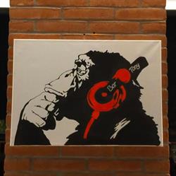 Bar Tony, Langhirano orari di apertura