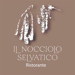 Il Nocciolo Selvatico Ristorante a Sieti SA, orari di apertura