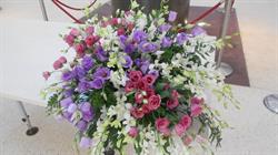 Violette e Lillà, San Pancrazio Salentino orari di apertura